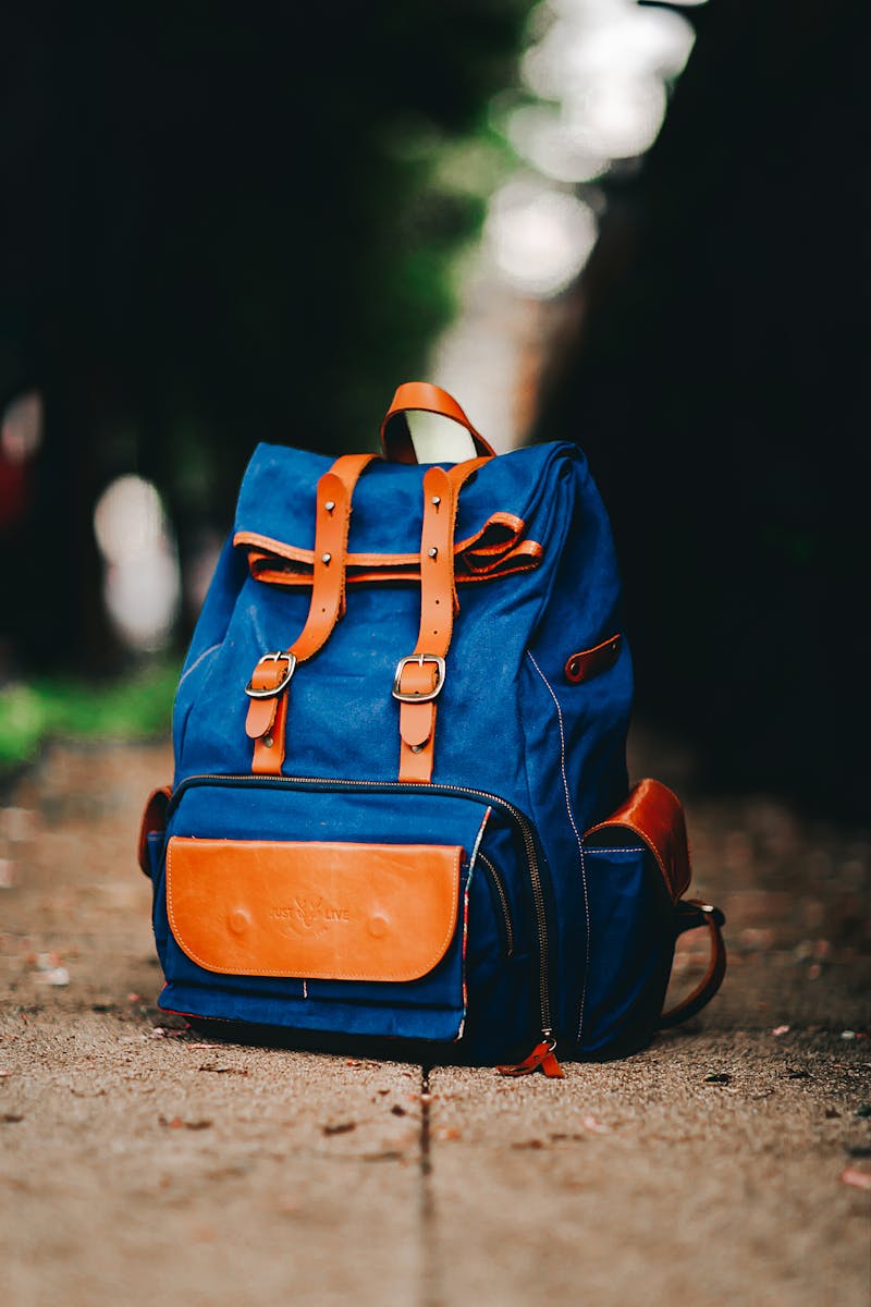 Designer Backpack